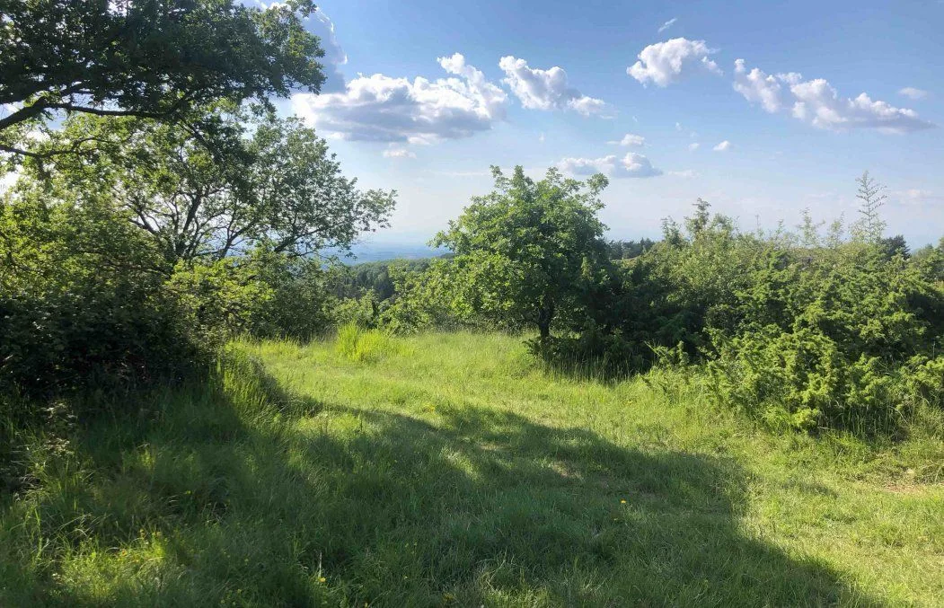 Quiet views, steep overgrown access